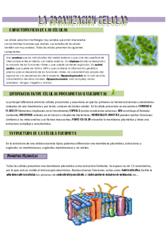 Biologia-tema-8-La-organizacion-celular-2.pdf