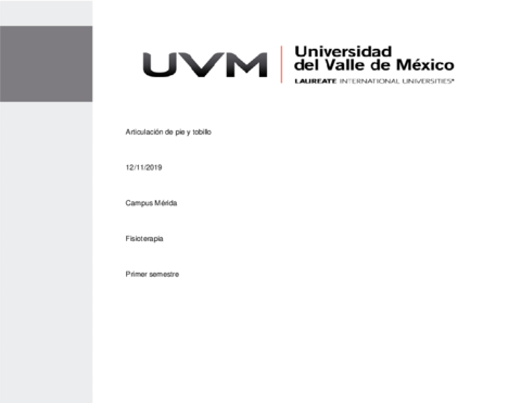 Articulacion-de-pie-y-tobillo.pdf