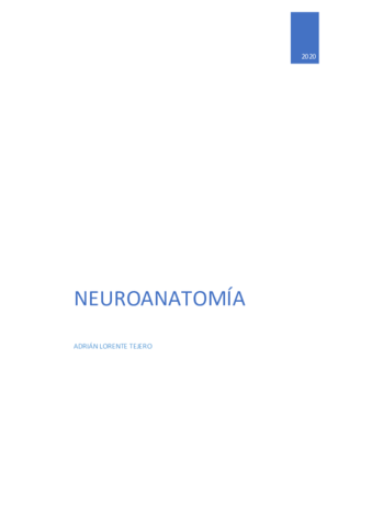 Neuroanatomia.pdf