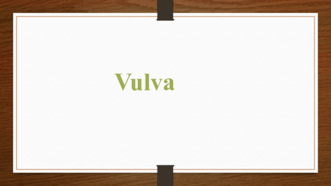Imagenes-vulva-caracteristicas.pdf