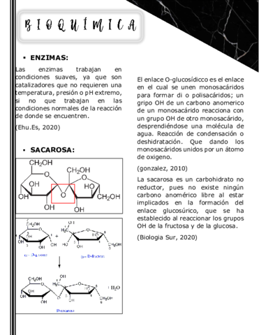 B-I-O-Q-U-I-M-I-C-A.pdf