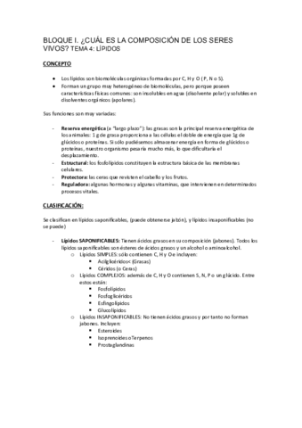 BLOQUE-I.pdf