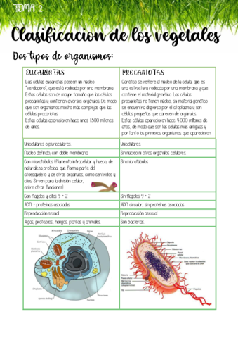 ClasifiVeg-y-ReinosBiolog.pdf