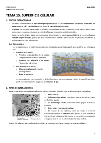 TEMA-15-1.pdf