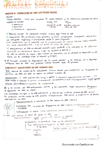 Resumen-practicas.pdf