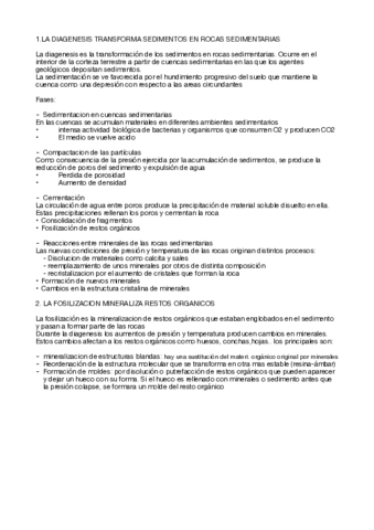 la-diagenesis-y-fosilizacion.pdf