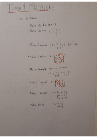 Matematicas-Tema-1-Matrices.pdf