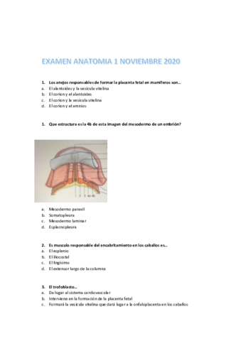 EXAMEN-ANATOMIA-1-NOVIEMBRE-2020.pdf