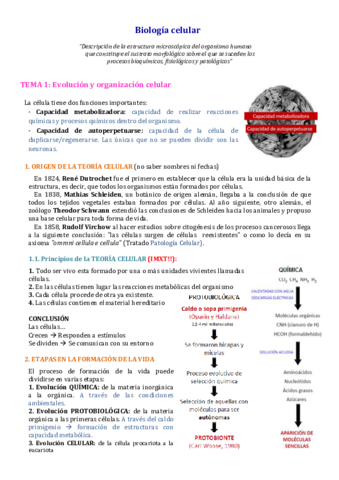 Apuntes-Biologia-celular-y-tisular846-1.pdf