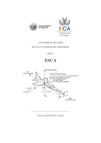 ESCA13.pdf