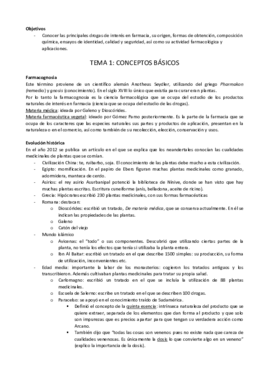R - TEMA 1.pdf
