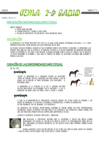 Tema-2-8--Salud-BIOLOGIA-3o-eso.pdf