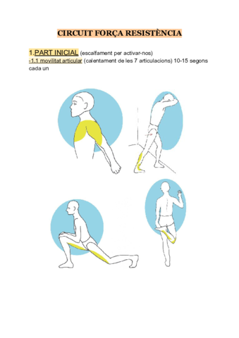 CIRCUIT-FORCA-RESISTENCIA-1.pdf