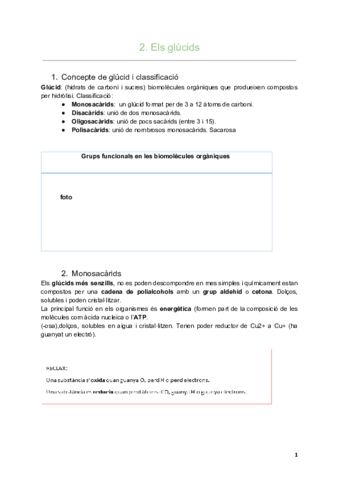 TEMA-2-els-glucids.pdf