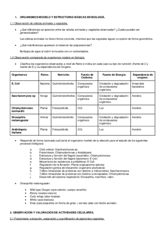 Practicas-laboratorio-BCM-cuestiones.pdf