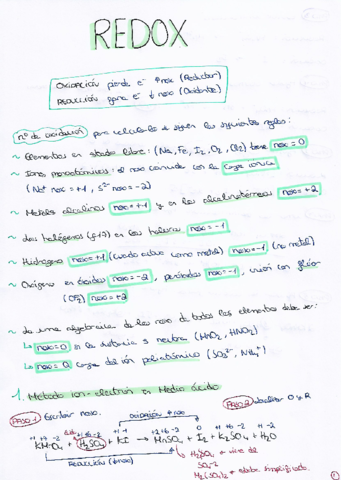 Redox.pdf