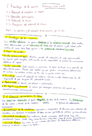Apuntes-Parcial-Tema-2-3.pdf