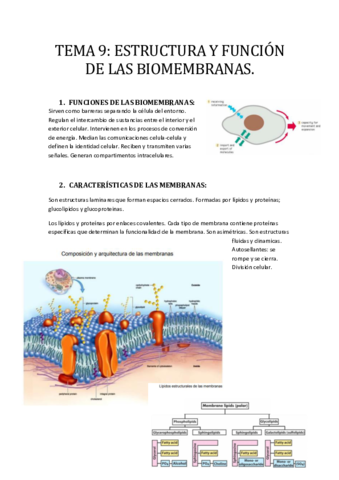 -TEMA-9-ESTRUCTURA-Y-FUNCION-DE-LAS-BIOMEMBRANAS.pdf