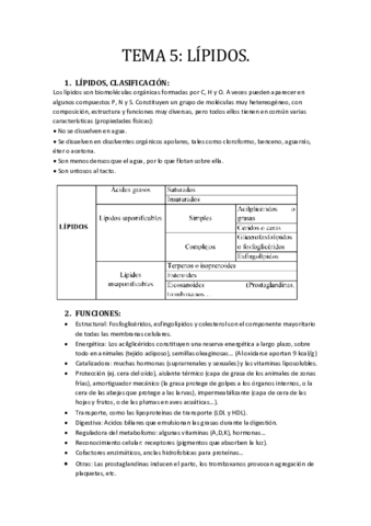 -TEMA-5-LIPIDOS.pdf