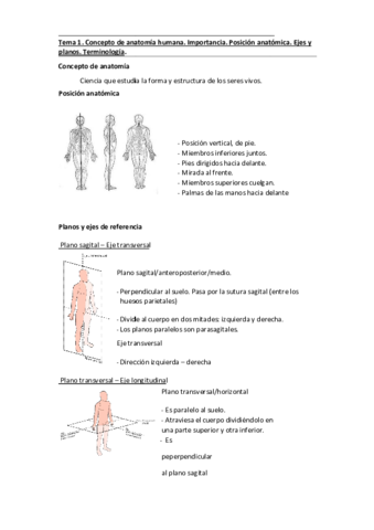 tema-1-2-y-3-anatomia.pdf
