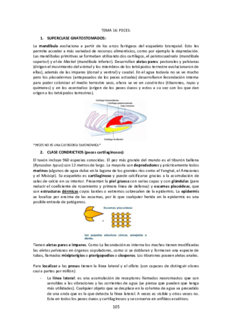 Tema-16-Peces.pdf