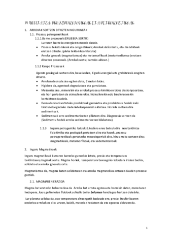 GEOLOGIA-14-UNITATEA-PROZESU-GEOLOGIAK-ETA-PETROGENETIKOAK-Apuntes.pdf