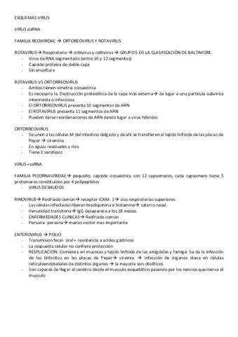 ESQUEMAS-VIRUS.pdf