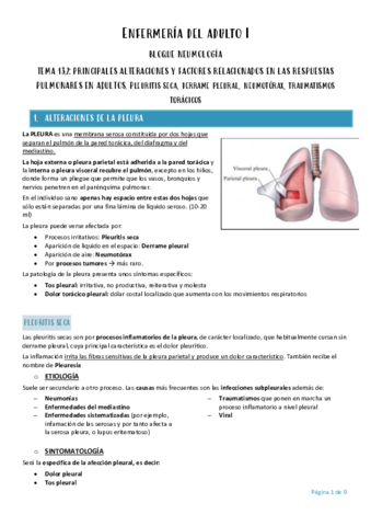 Enfermeria-del-adulto-I-tema-13.pdf