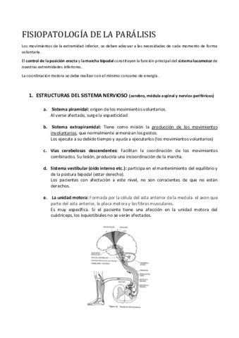 FISIOPATOLOGIA-DE-LA-PARALISIS.pdf