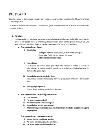 PIE-PLANO.pdf