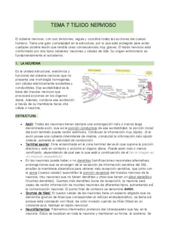 TEMA-7-biologia.pdf