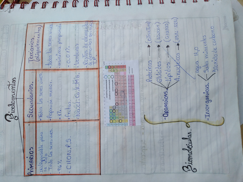 IMG20201122165249.jpg