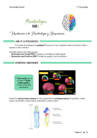 Apuntes-PBI-U1.pdf