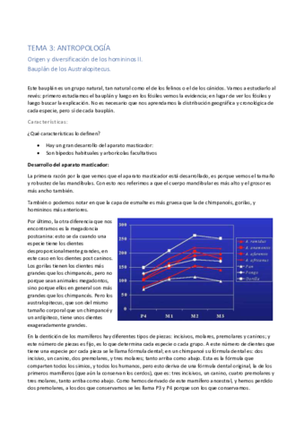 Tema-3.pdf