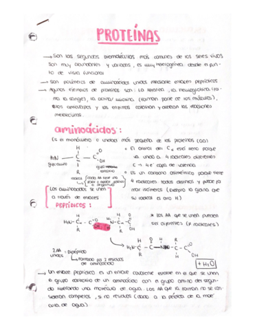 PROTEINAS.pdf