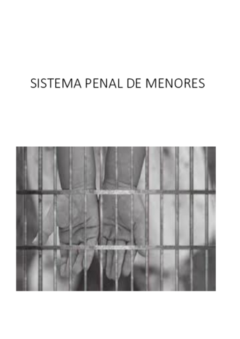 SISTEMA-PENAL-DE-MENORES-COMPLETO.pdf