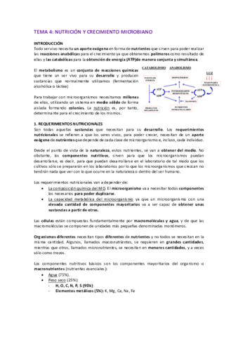 Temas-Micro-4-7.pdf