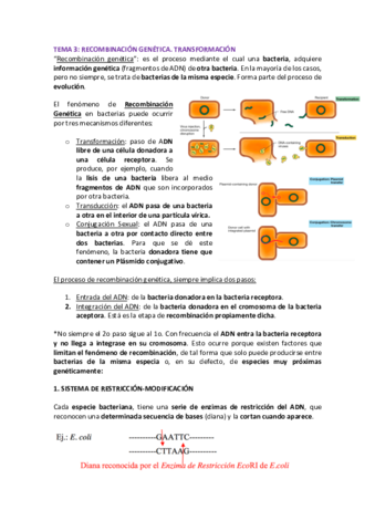 Genetica-bacteriana-2.pdf