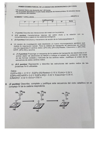 Examen-parcial-bioinor-2020-grupo-A.pdf