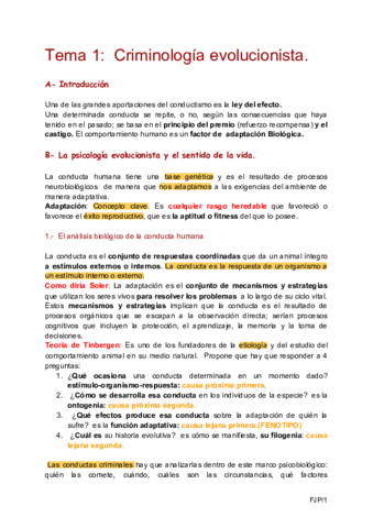 FJP.pdf