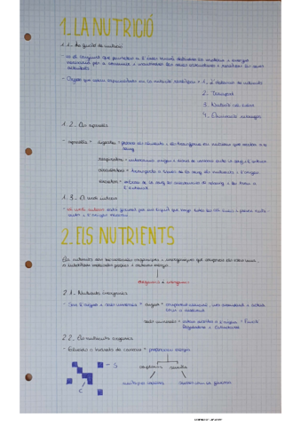 CamScanner-11-23-2020-20.pdf