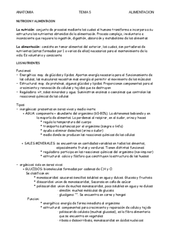anatomia.pdf