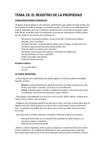 TEMA-19.pdf