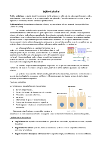 1-Tejido-Epitelial.pdf