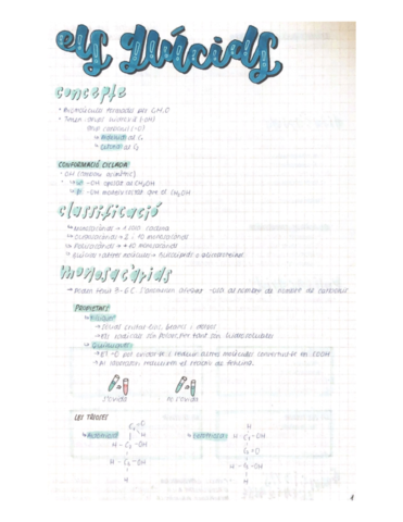 Els-glucids.pdf