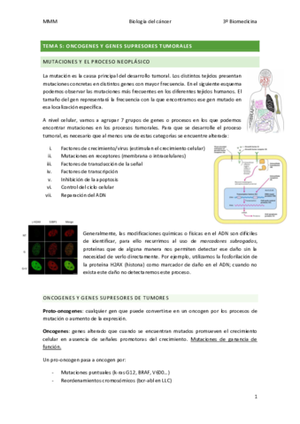 TEMA-5-Oncogenes-y-genes-supresores-de-tumores.pdf