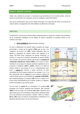 TEMA-9-Muerte-celular.pdf