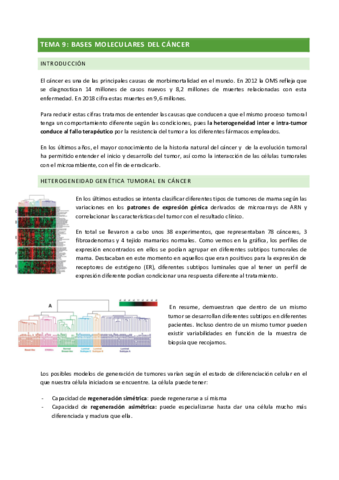 TEMA-11-Bases-moleculares-del-cancer.pdf