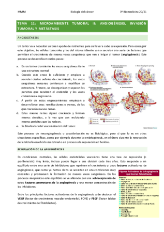 TEMA-13-Microambiente-tumoral-II.pdf