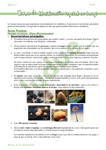 Tema-5-Clasificacion-vegetal-en-Fungi.pdf